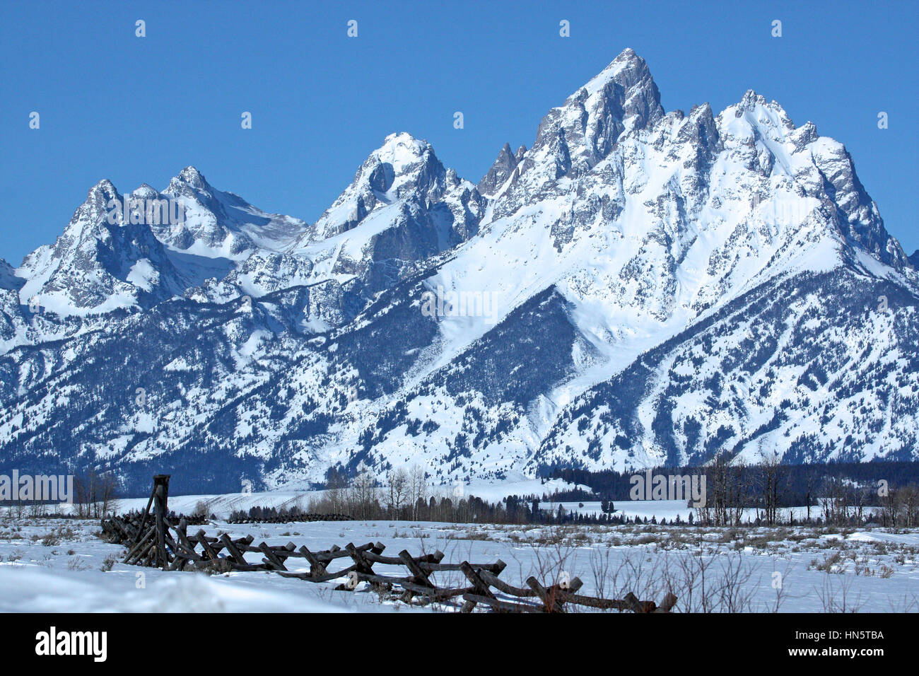 Holz-Zaun vor schneebedeckten Bergen, Grand-Teton-Nationalpark, Jackson, Wyoming, USA Stockfoto