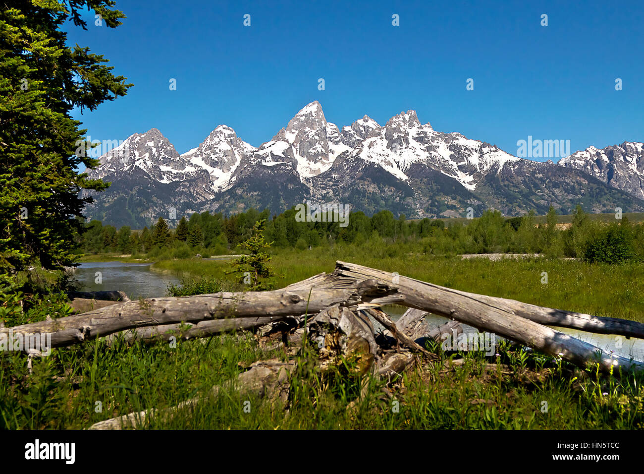 Gefallen Protokolle vor der Grand Teton Bergkette, Grand-Teton-Nationalpark, Jackson, Wyoming, m USA Stockfoto