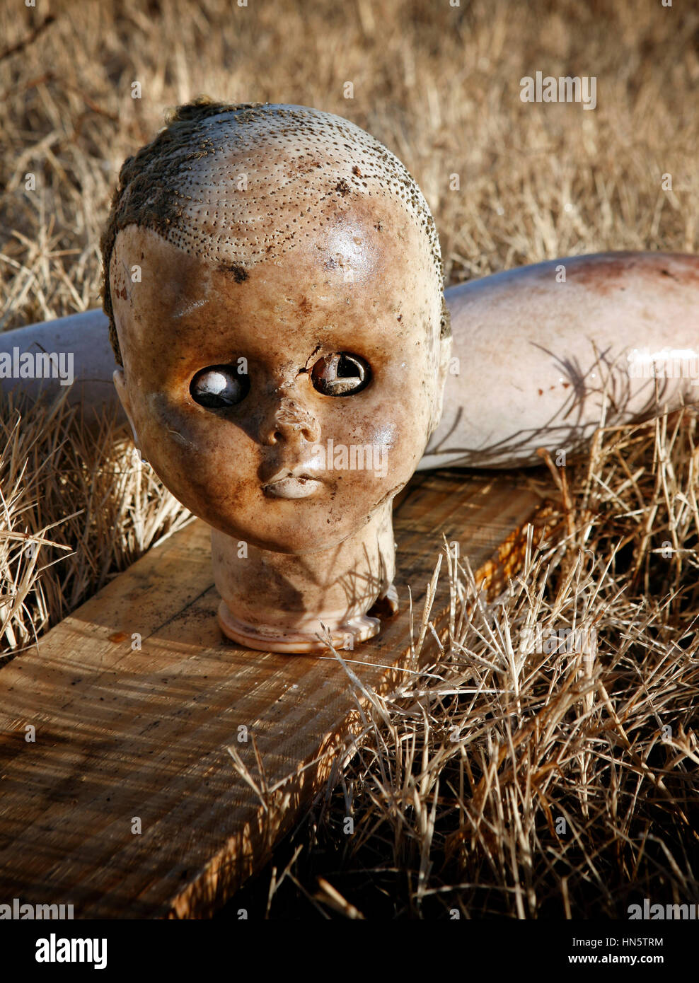 Porträt von gruseligen verlassenen alten Puppe Kopf hautnah Stockfoto
