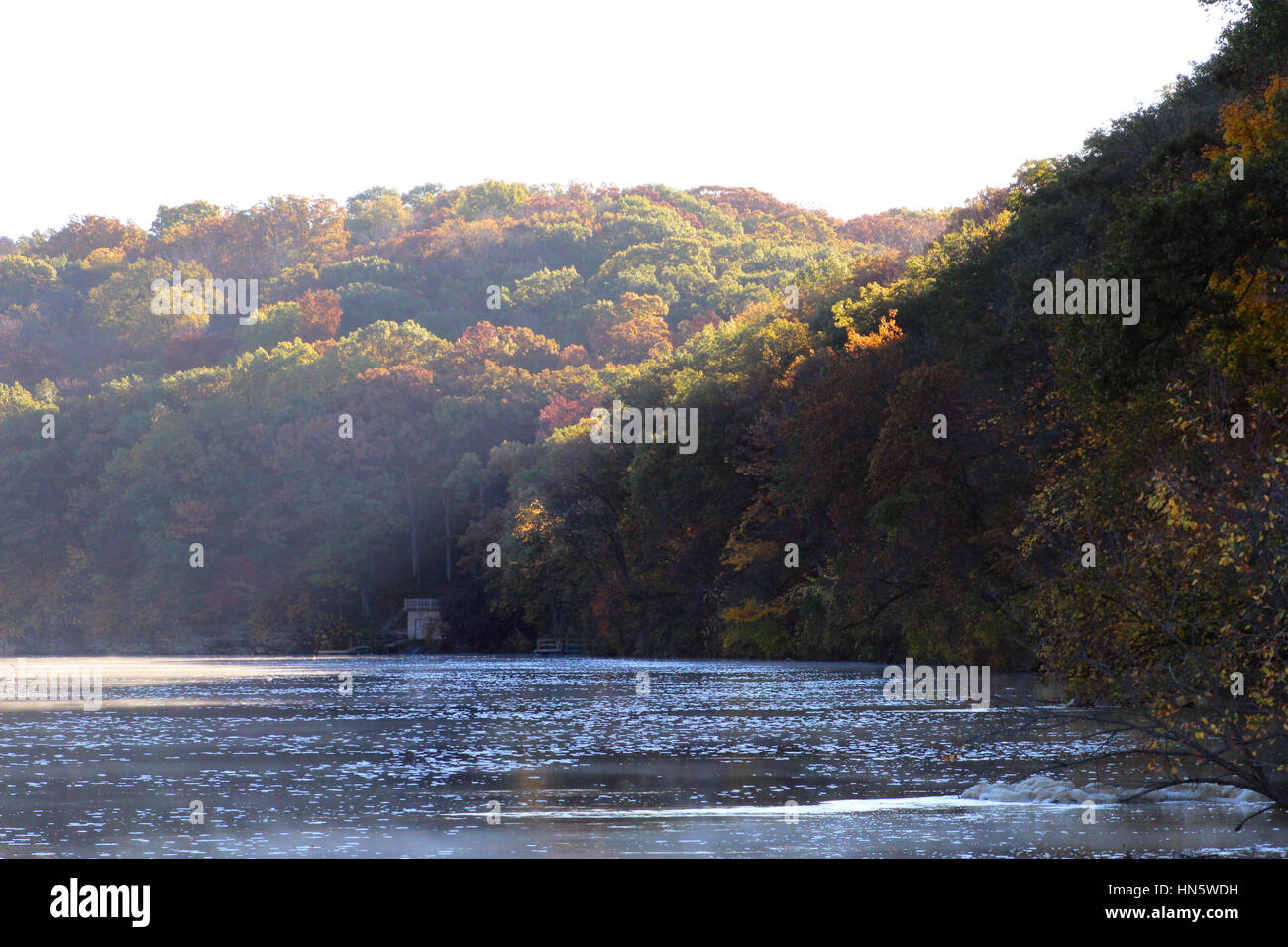 Herbst-Bäume entlang des Iowa River mit ein wenig Nebel Stockfoto