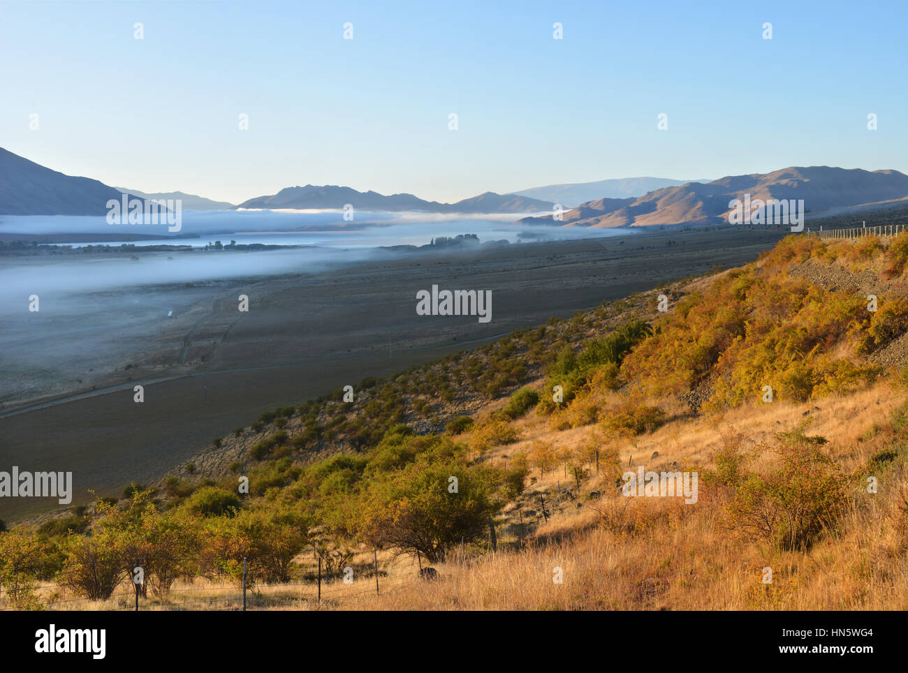 Dawn Panorama im Waitaki Valley, Otago, Neuseeland. Wilde Hagebutten im Herbst voll blühen in den Vordergrund und Lake Benmore eingehüllt in Nebel in th Stockfoto