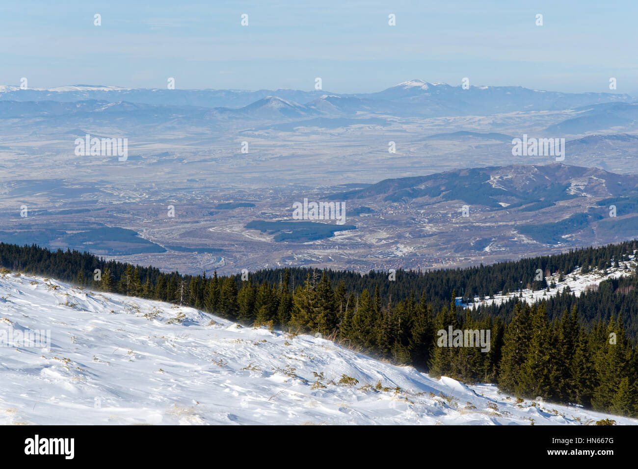 Kleinen Wald in den winterlichen Bergen Stockfoto