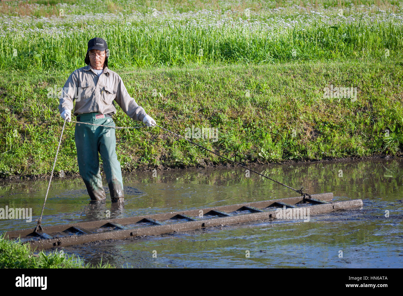 Nakastugawa, Japan - 11. Mai 2012: Ein Landwirt bereitet eine kleine Reis Reisfeld Pflanzung durch eine Holzleiter über die nasse Erde, Ebene ziehen Stockfoto