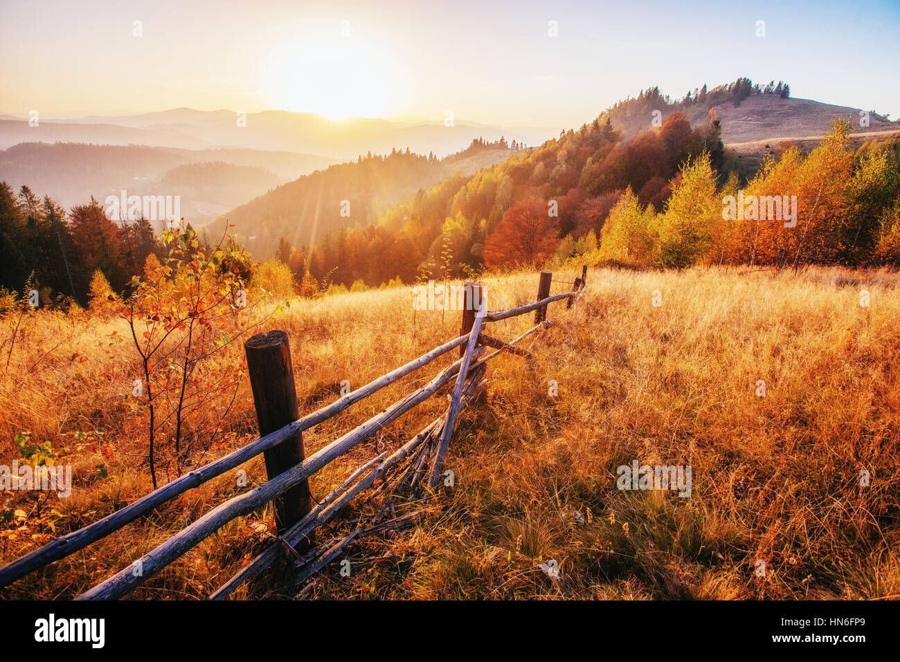 Waldweg im Herbst.  Landschaft. Stockfoto