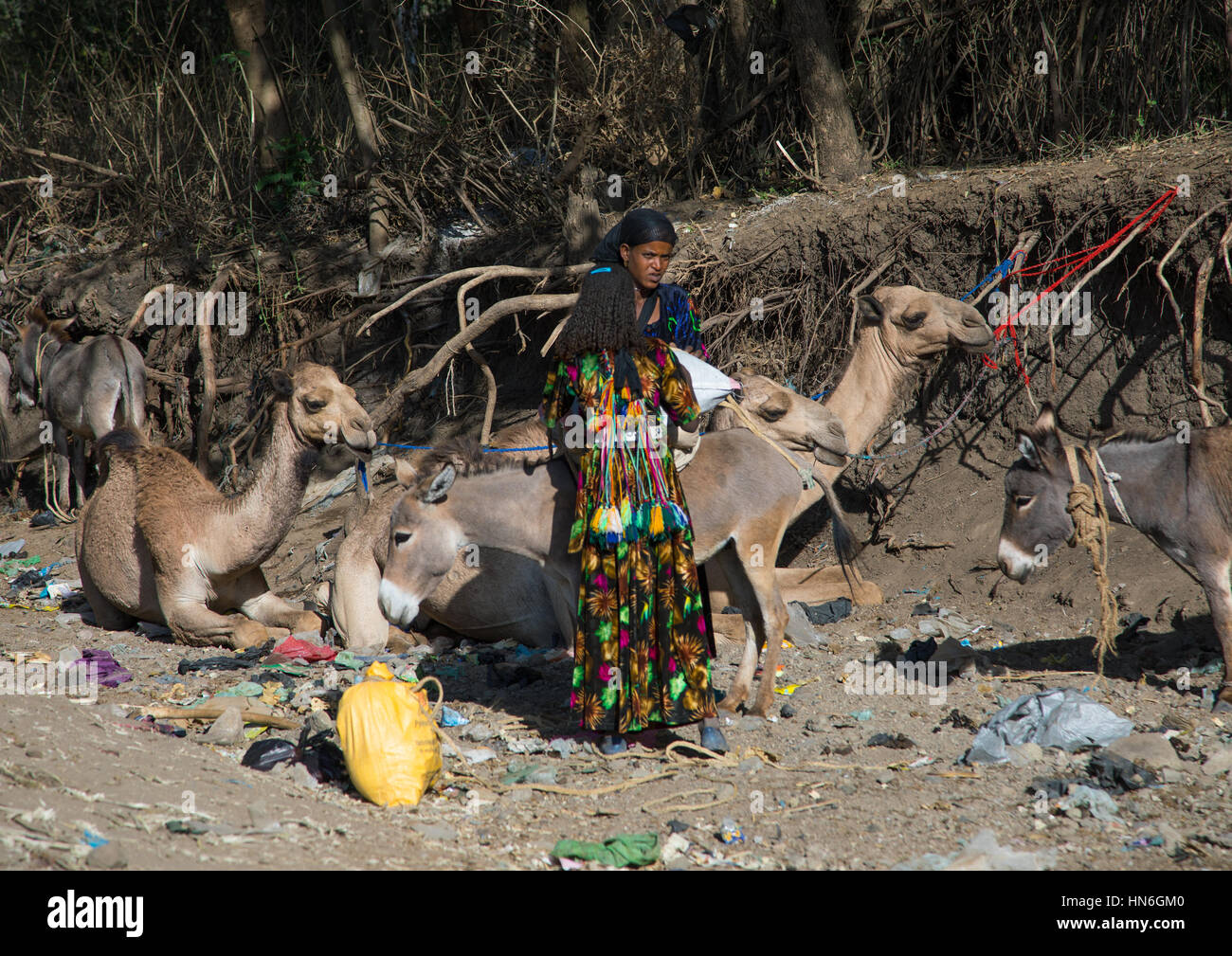 Oromo Frauen laden einen Esel auf dem Markt, Amhara Region, Senbete, Äthiopien Stockfoto