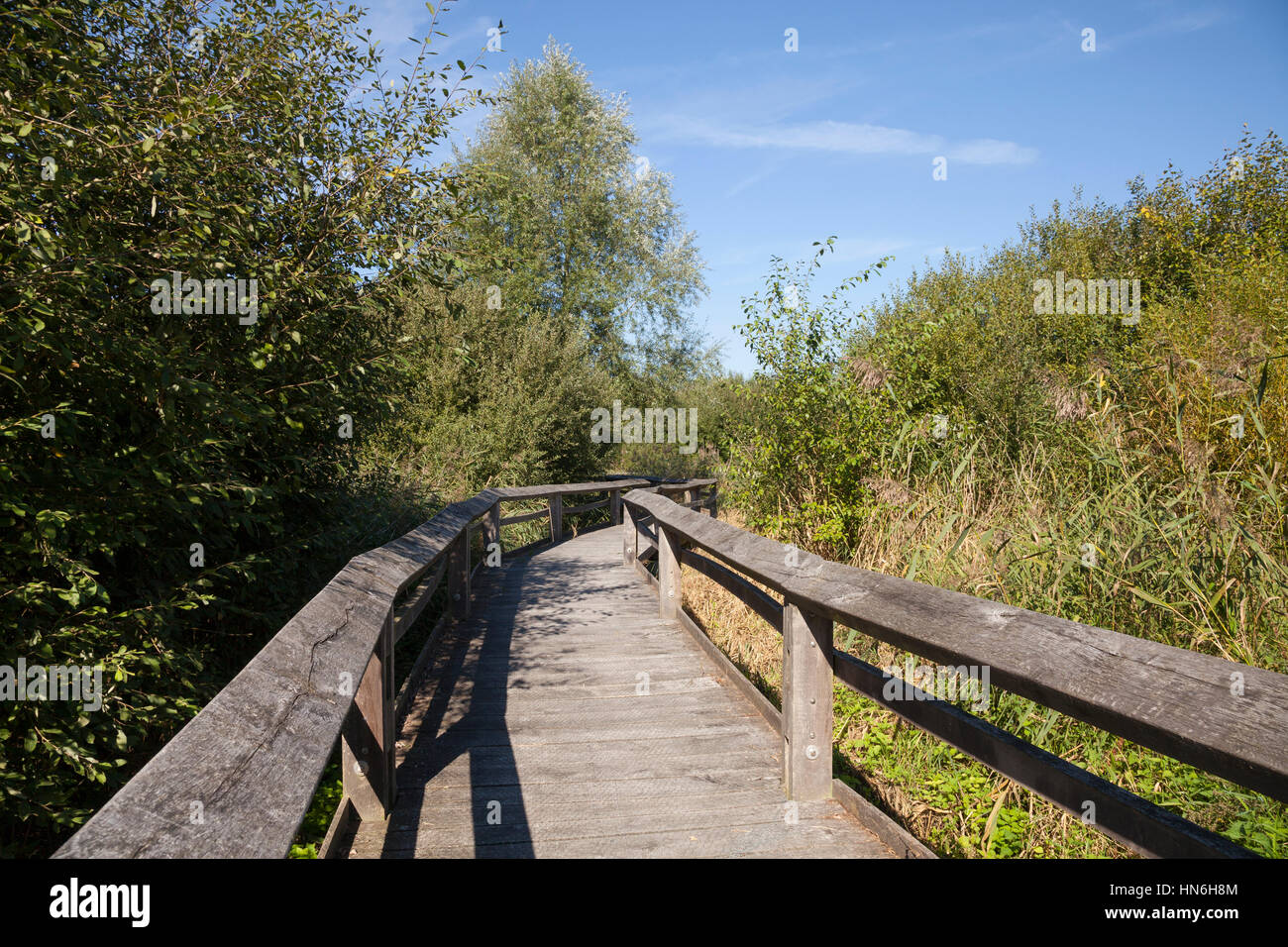 Boardwalk durch septische Abfluss Felder, Naturschutzgebiet, Münster, Münsterland, Nordrhein-Westfalen, Deutschland Stockfoto
