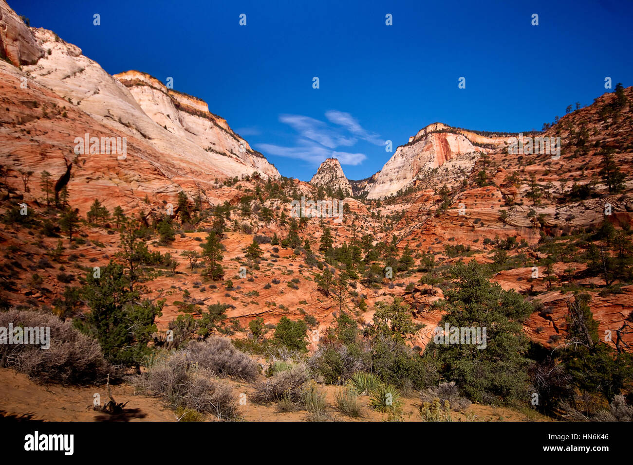 Red Rock Mountains im Zion National Park, Springville, Utah, USA Stockfoto
