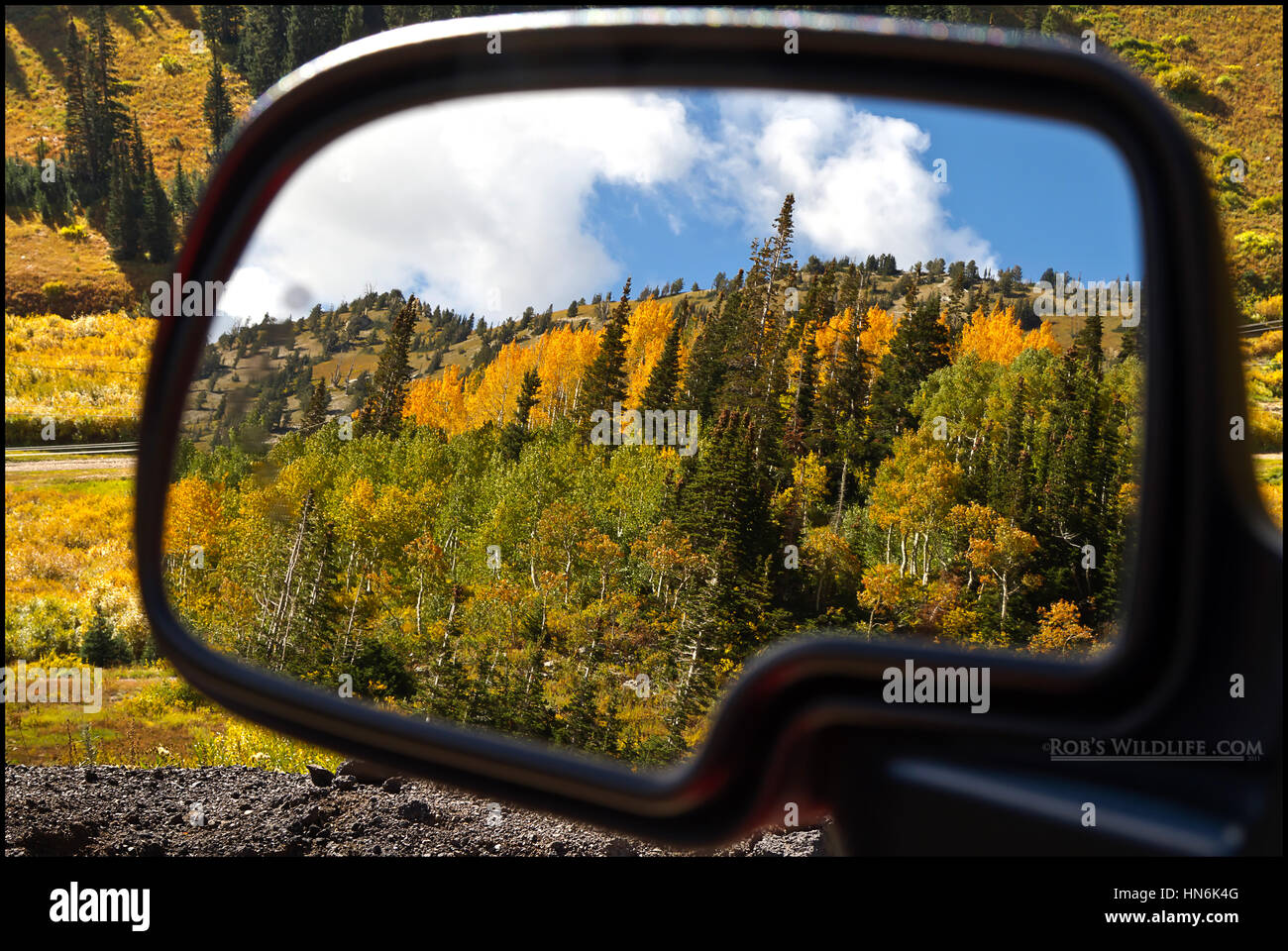 Spiegelbild der Farben des Herbstes in Albion Basin, Alta, Utah, USA Stockfoto