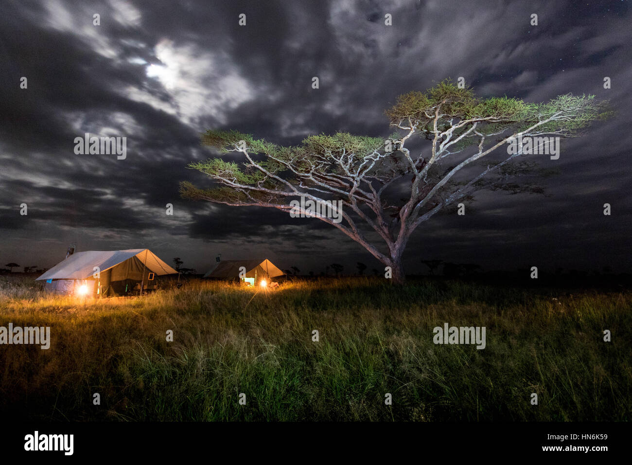 Nightscape Landschaftsfoto Camping in der Serengeti Nationalpark, Tansania, Afrika Stockfoto
