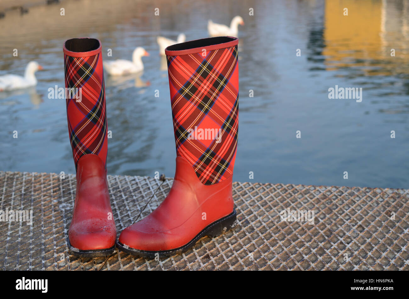 Rote Gummistiefel mit Tartan-Motiv auf dem Fluss Dock mit Linie der Wildgänse Stockfoto