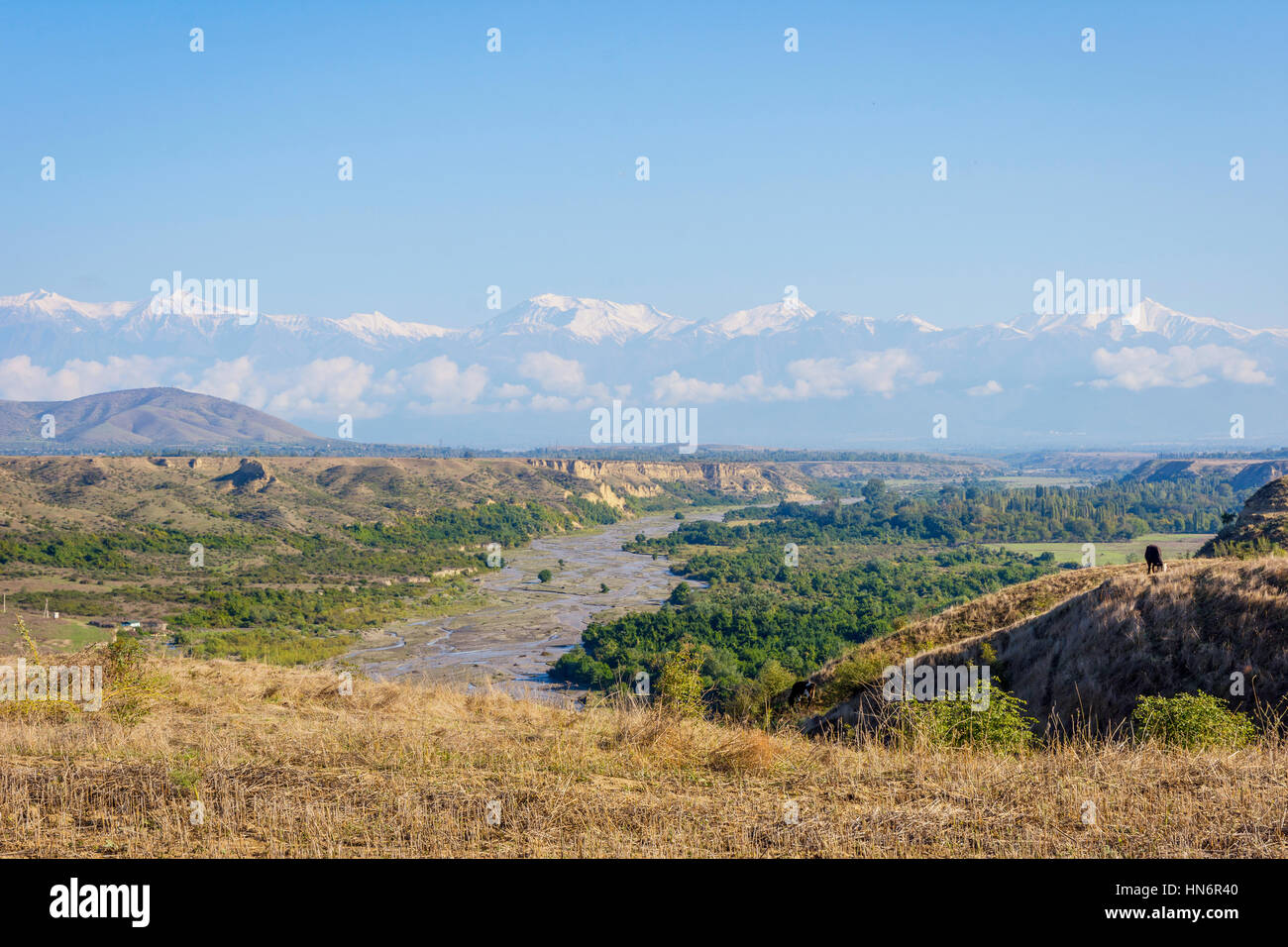 Fluss, grüne Wiese, goldene Felder und Berge mit schneebedeckten Gipfeln, erstaunliche Landschaften von Aserbaidschan Stockfoto