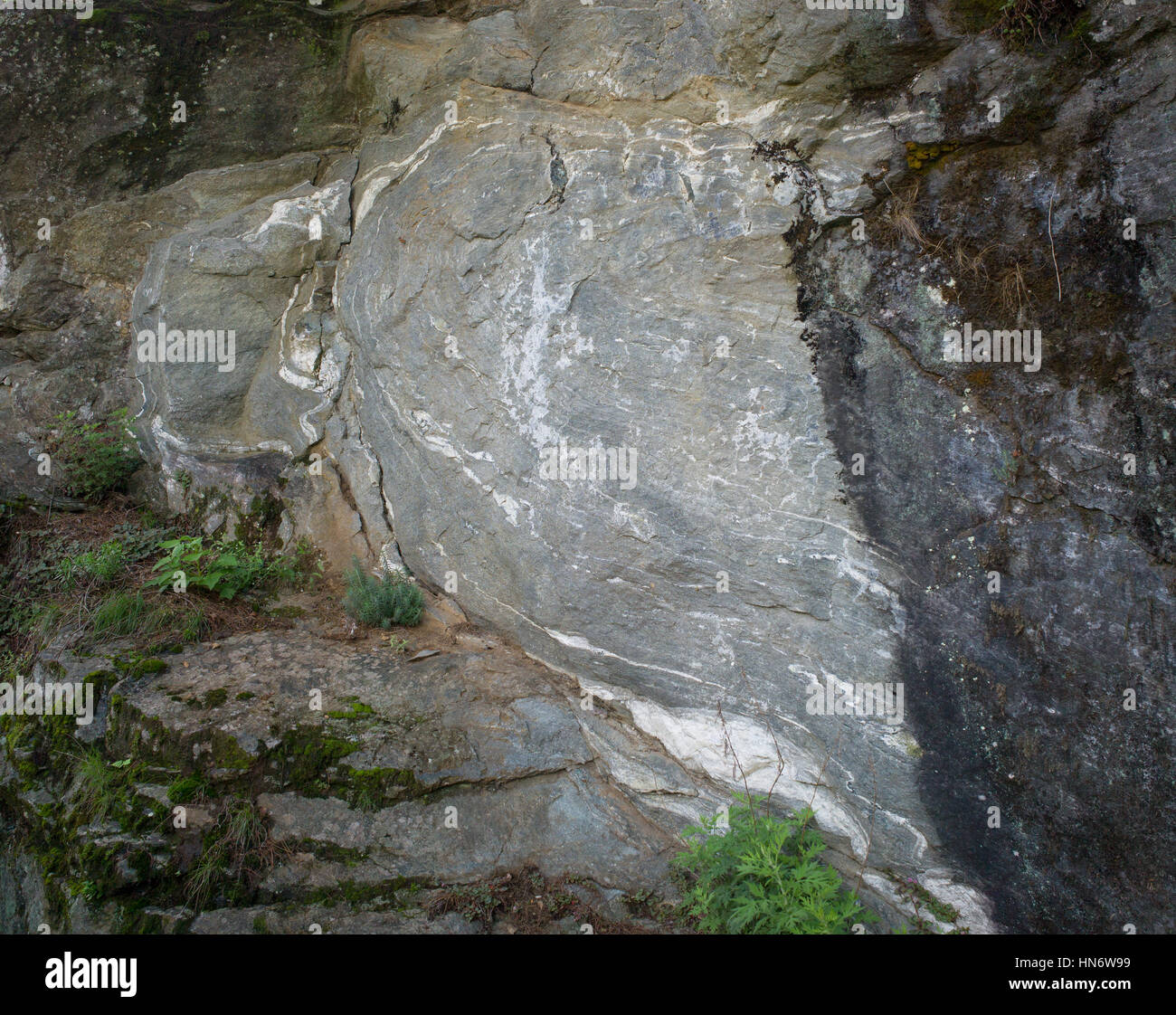 Felsische Venen in gefalteten metamorphe Schiefer Felsen im Cangshan-Gebirge, Dali, Yunnan, China Stockfoto