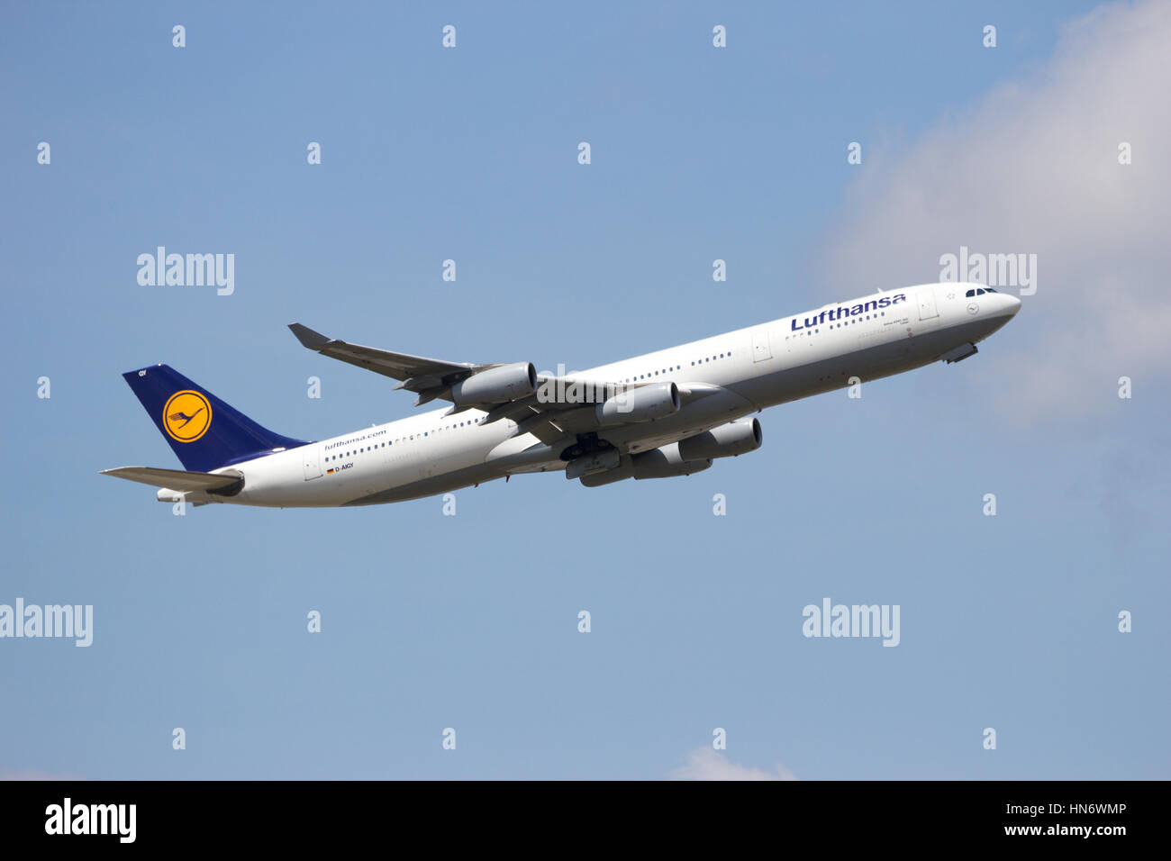 FRANKFURT, Deutschland - Juli 11: A Lufthansa Airbus A340 abheben am 11. Juli 2013 in Frankfurt am Main, Airbus A340 ist ein Long-Range vierstrahliges Großraumflugzeug commer Stockfoto