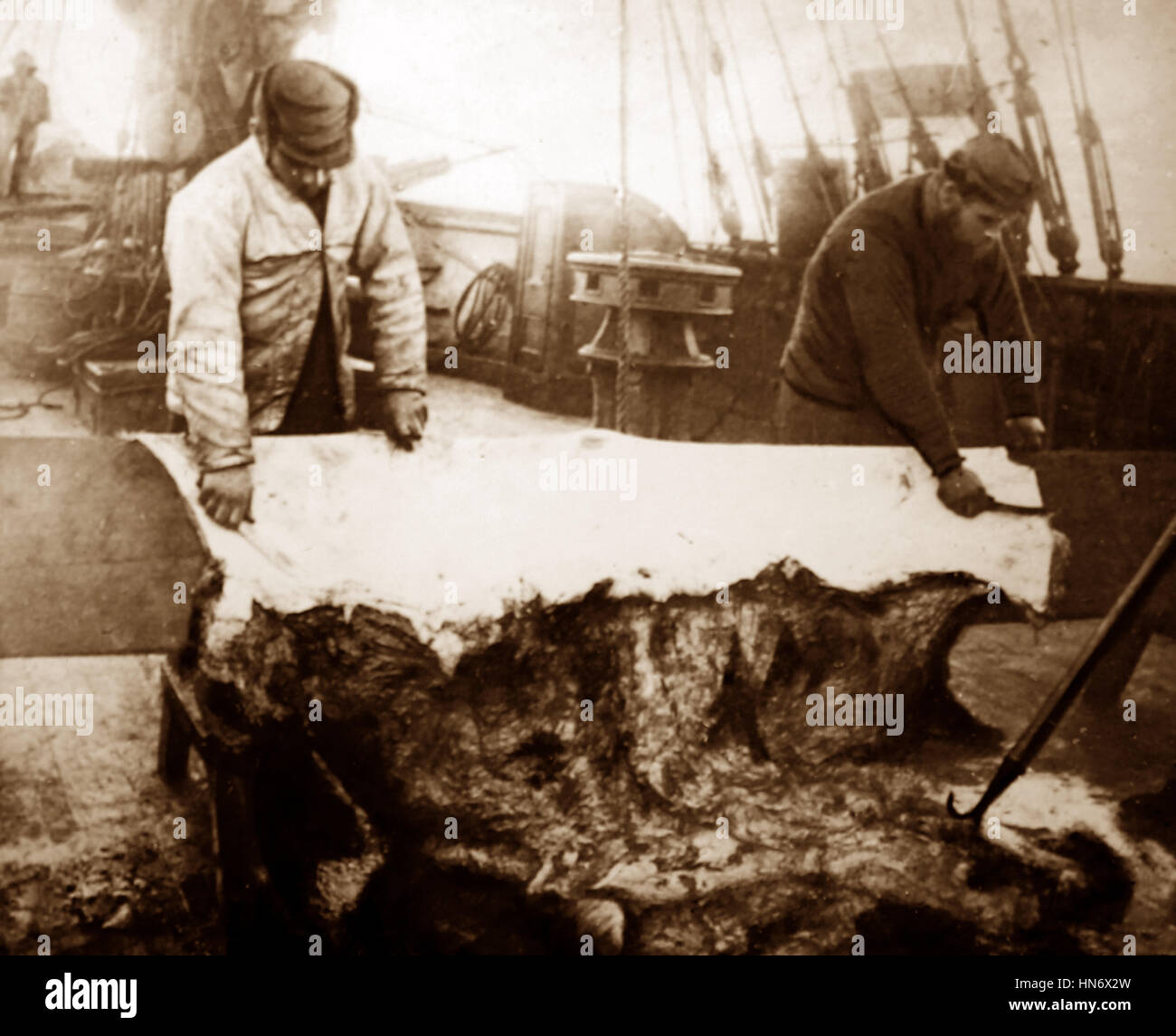 Walfang-Schiff in der Arktis mit Crew Häuten ein Eisbär - viktorianische Periode Stockfoto
