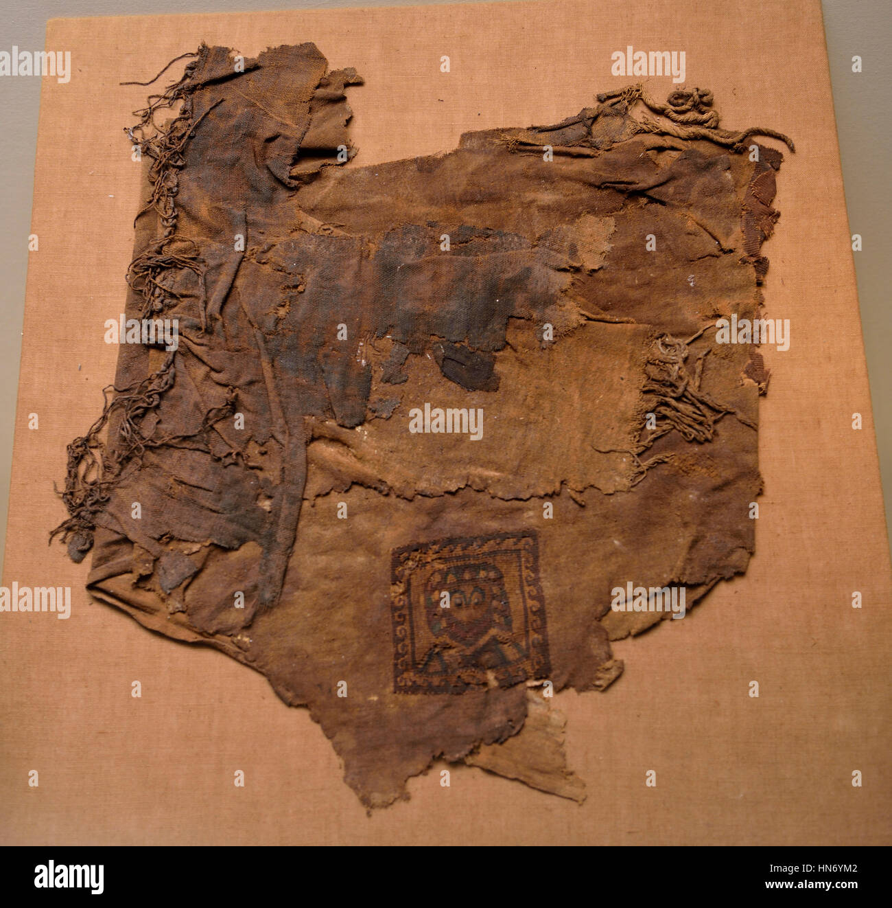 Fragment aus Leder und Stoff. Mada'in Saleh. 3. Jahrhundert v. Chr. bis 3. Jahrhundert CE. Textil- und Lederindustrie. Al-'Ula Museum. Saudi-Arabien. Stockfoto