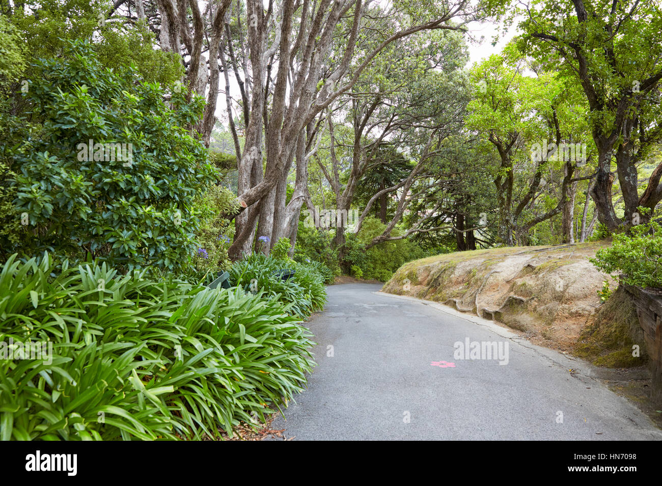 Botanische Gärten, Wellington, Neuseeland Stockfoto