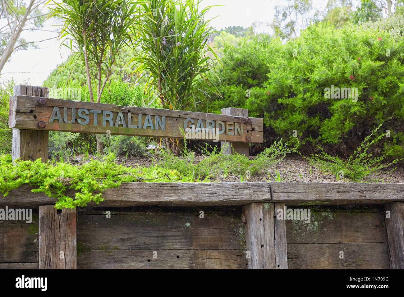 Australischer Garten im Botanischen Garten, Wellington, Neuseeland Stockfoto