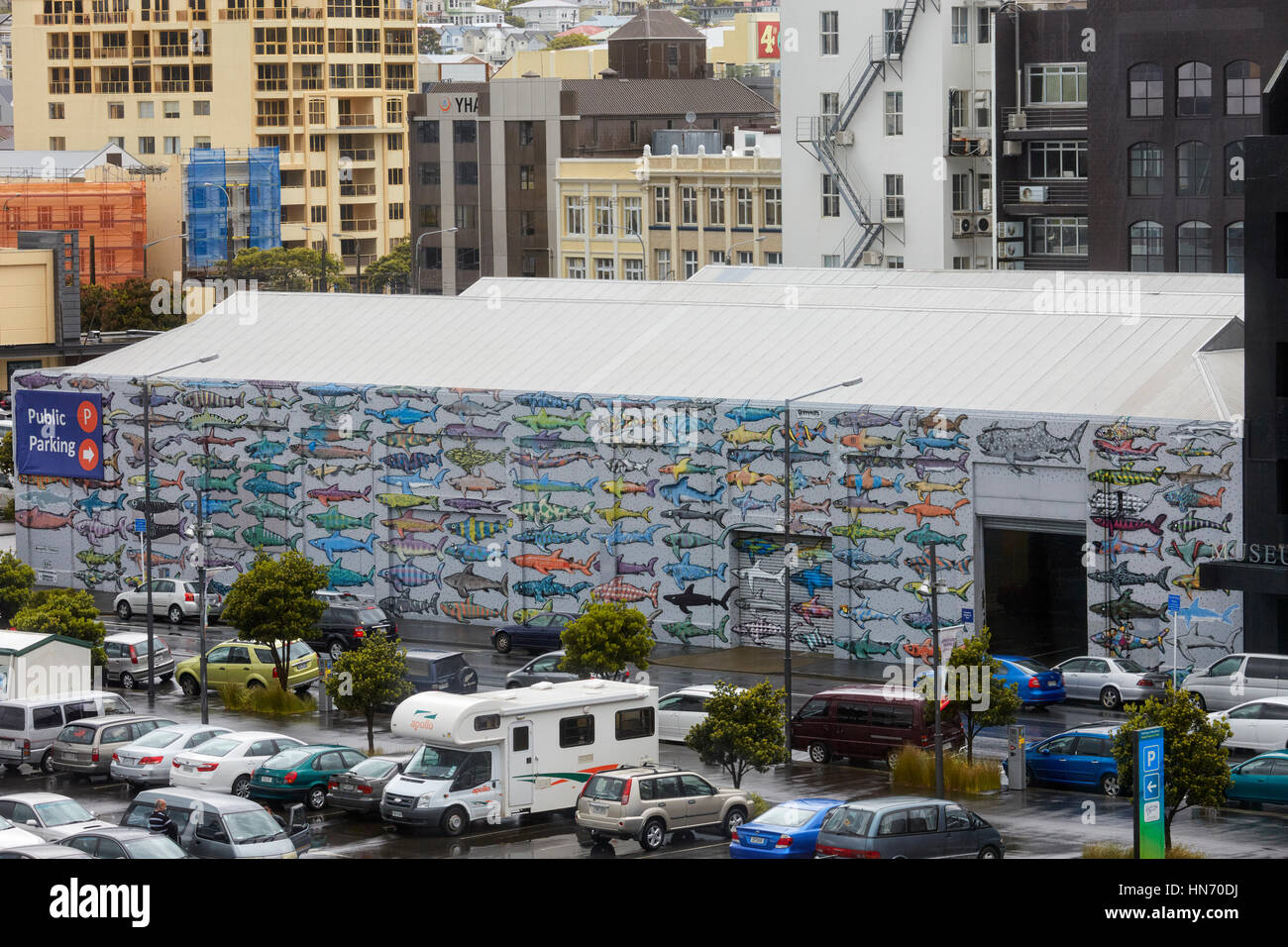 Shark Alliance Wandbild, Wellington, Neuseeland Stockfoto