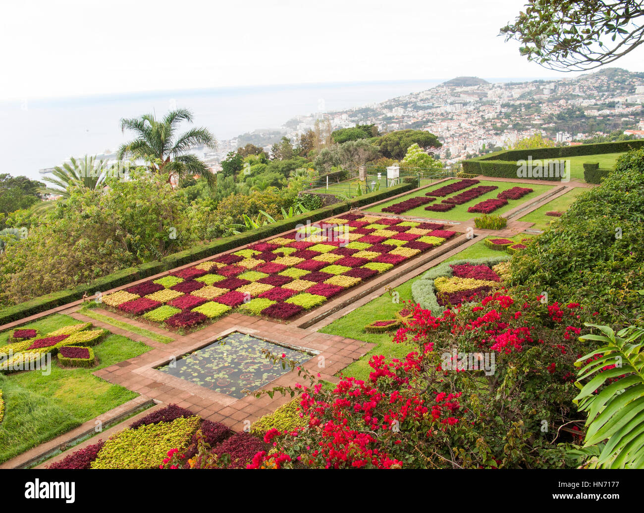 Madeira Funchal Botanischer Garten Stockfoto