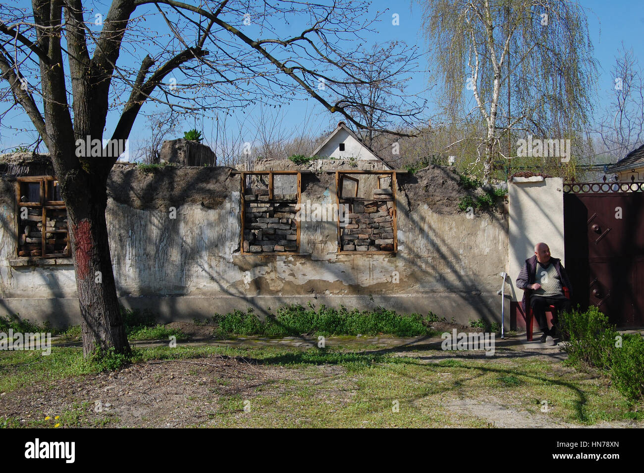 Alten Baum vor dem Ruin Haus in Ivanovo, Srbija Stockfoto