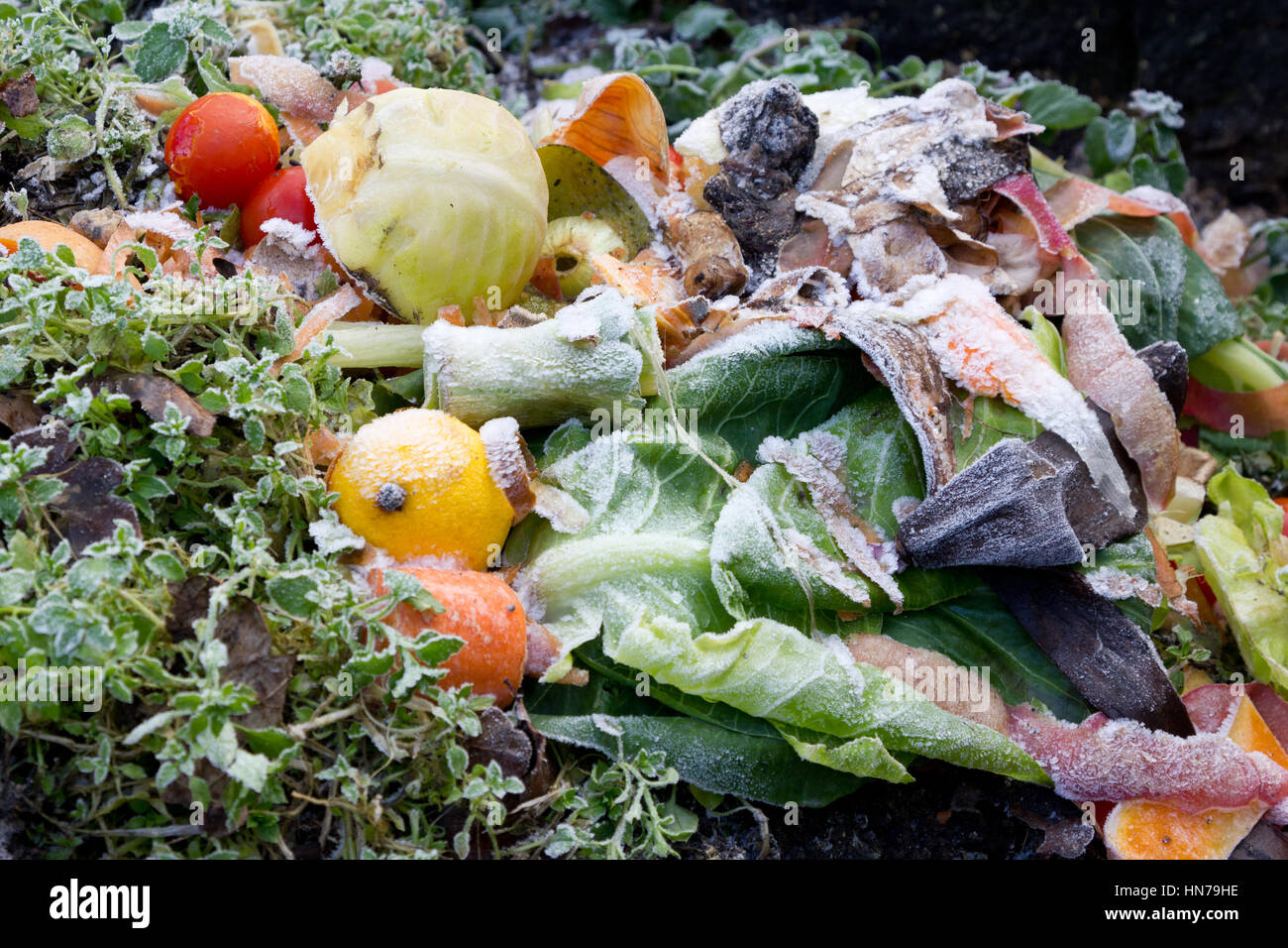 Komposthaufen mit Gemüse Peelings und Eis Stockfoto