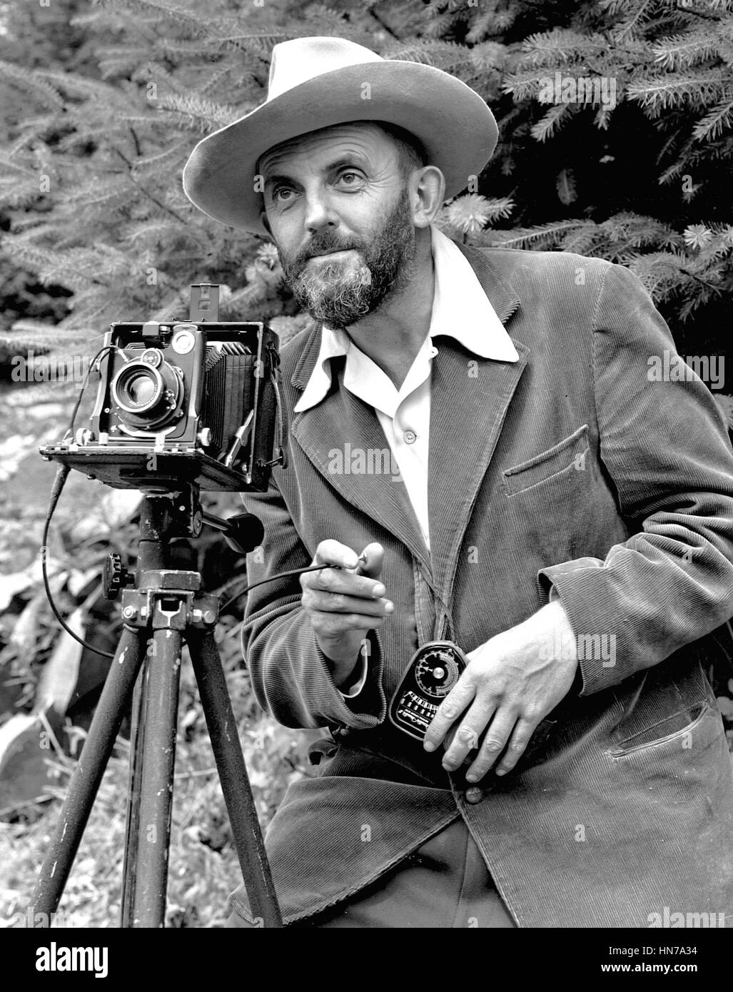 US-amerikanischer Fotograf ANSEL ADAMS (1902-1984) um 1950 Stockfoto
