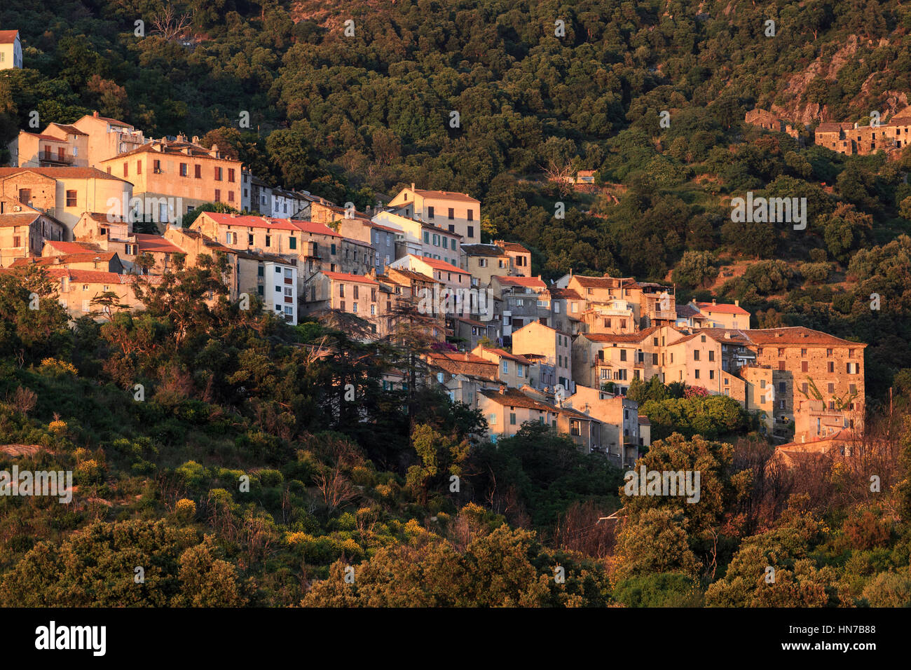 Hilltop Village Oletta, Korsika, Frankreich Stockfoto