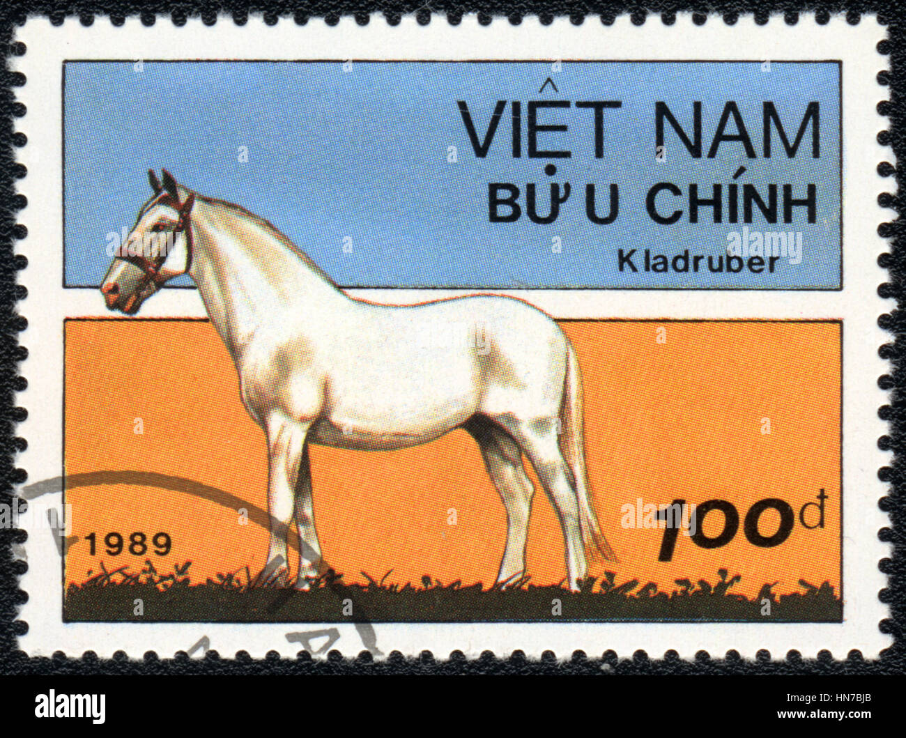 Eine Briefmarke gedruckt in Vietnam zeigt ein Kladruber Pferd, Pferd Rasse Serie, circa 1989 Stockfoto