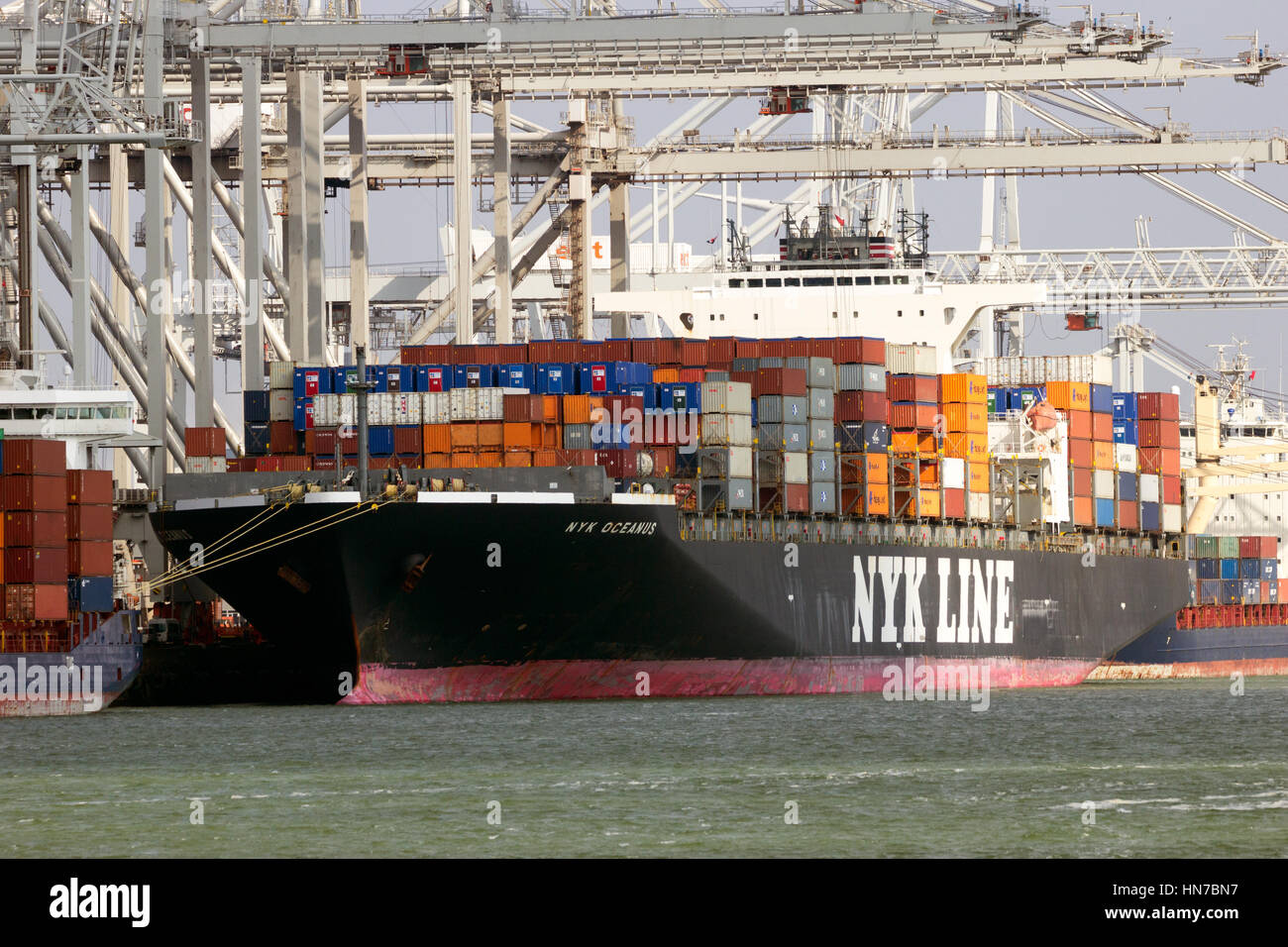 ROTTERDAM, Niederlande - 16. März 2016: Meer Containerschiff Nyk Oceanus von NYK Line in ECT Container-terminal im Hafen von Rotterdam festgemacht. Stockfoto