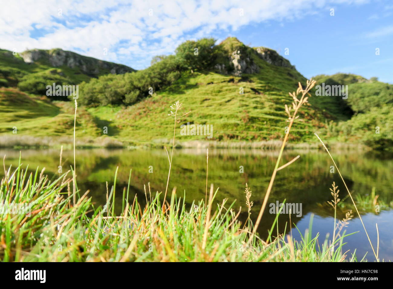 Die magischen grünen Hügeln von Fairy Glen auf der Insel Skye, Schottland Stockfoto