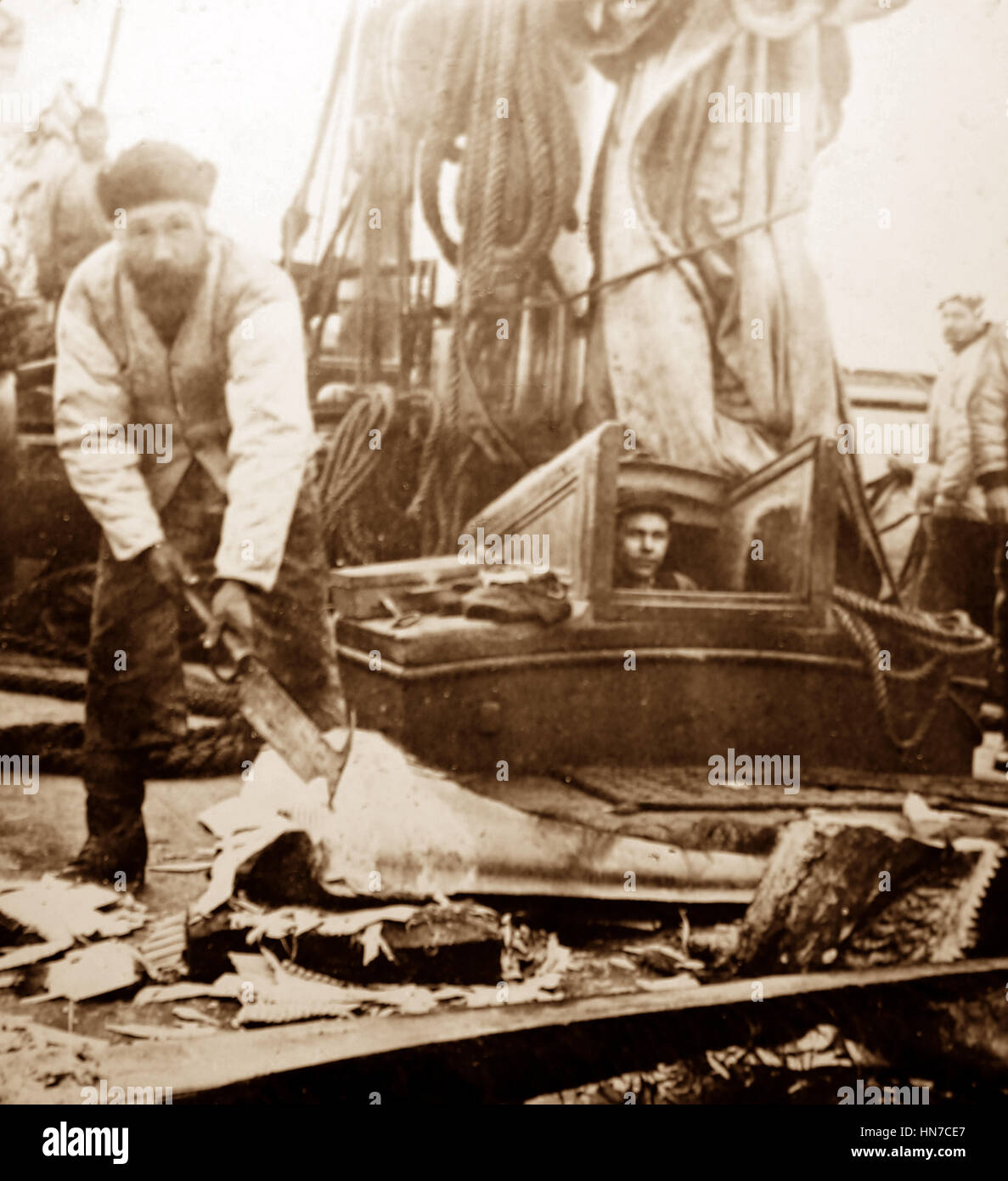 Walfang-Schiff in der Arktis - Crew entfernen der Fischbein - viktorianischen Zeit Stockfoto