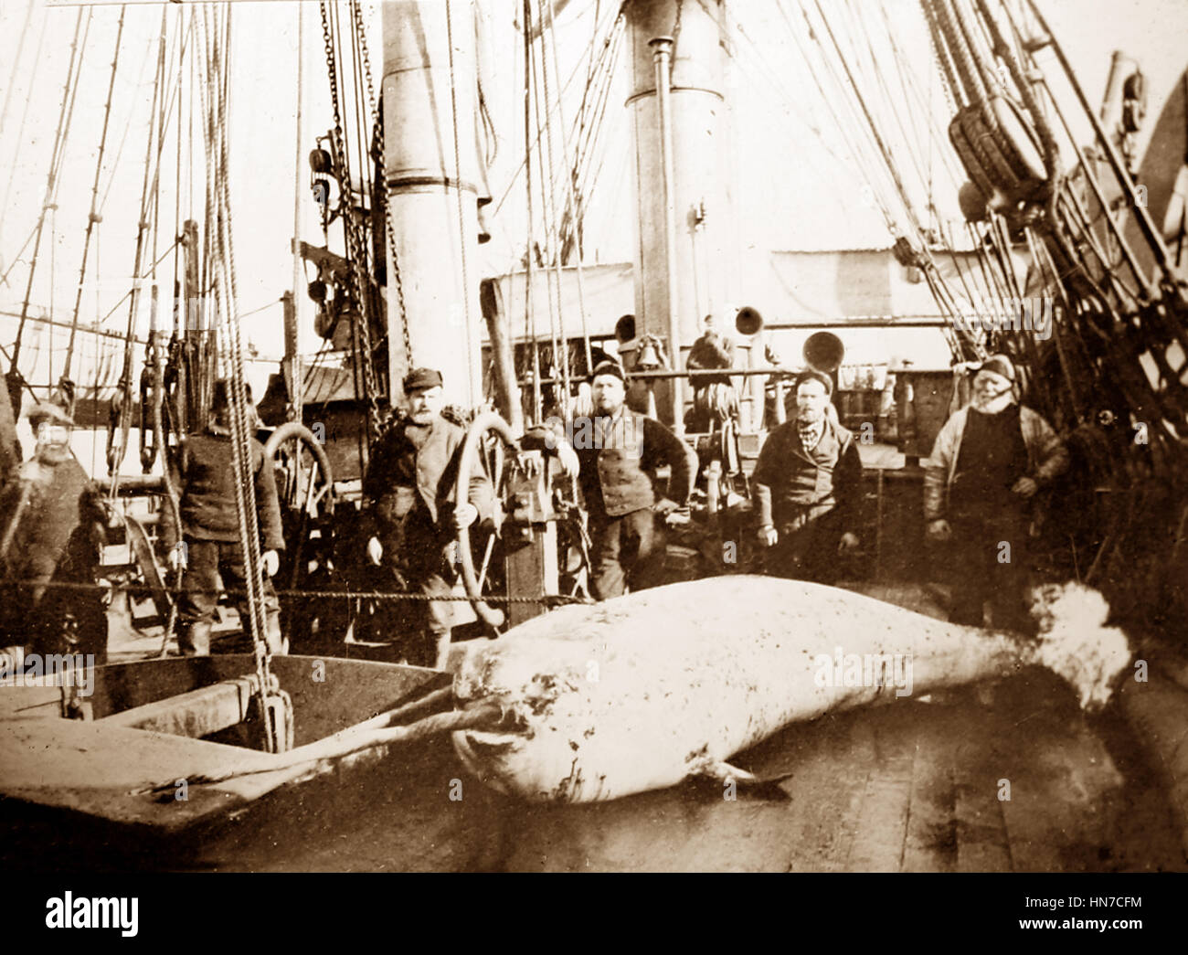 Walfangschiff in der Arktis - Crew mit Wal an Deck - viktorianische Periode Stockfoto