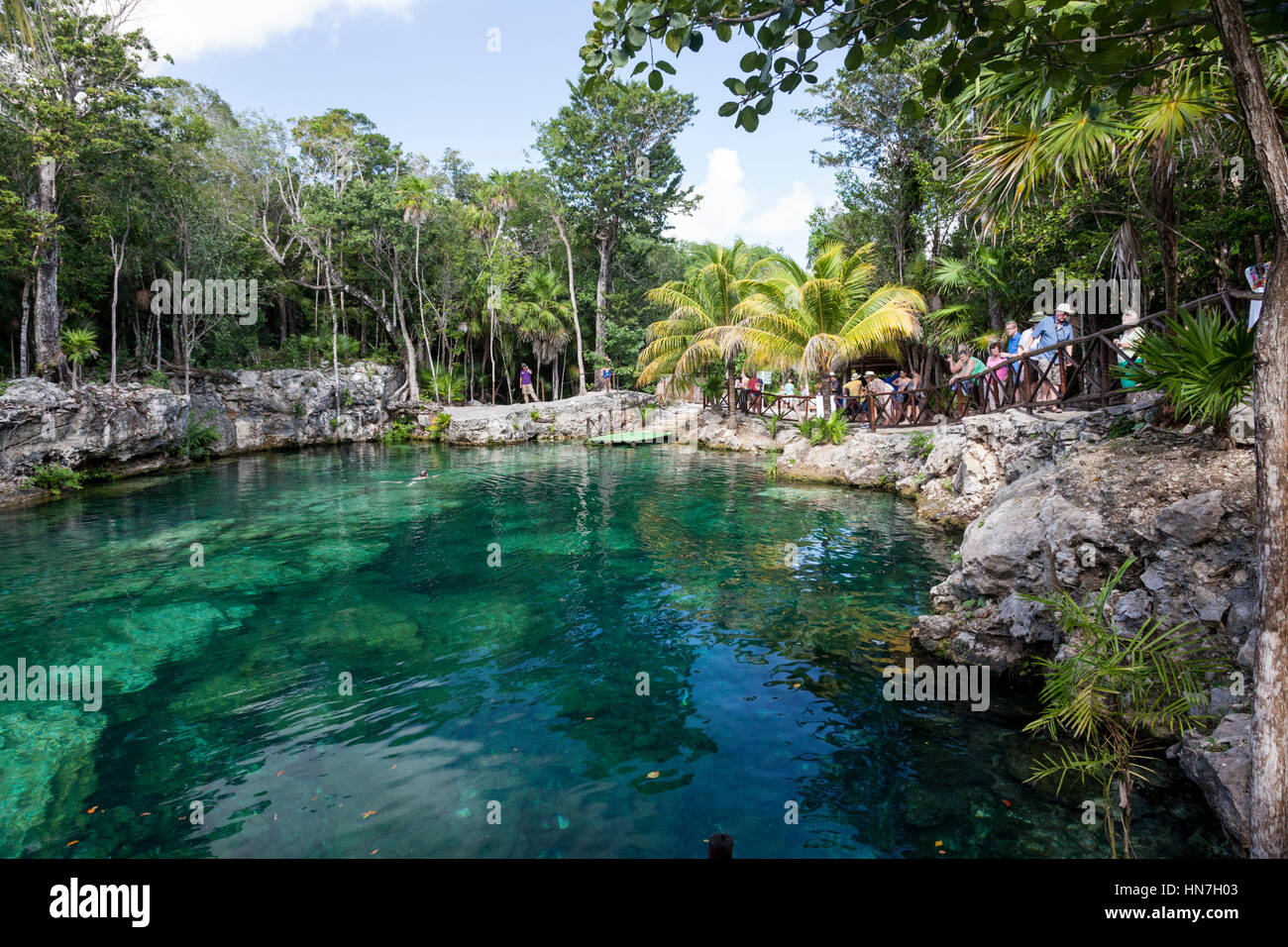 Open-Air-Cenote, in der Nähe von Coba, Riviera Maya, Yucatan-Halbinsel, mexikanischer Staat Quintana Roo, Mexiko Stockfoto