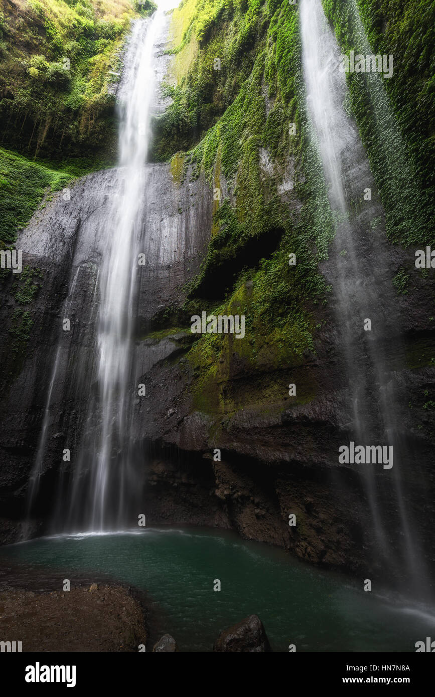 Madakaripura Wasserfall in Indonesien Stockfoto