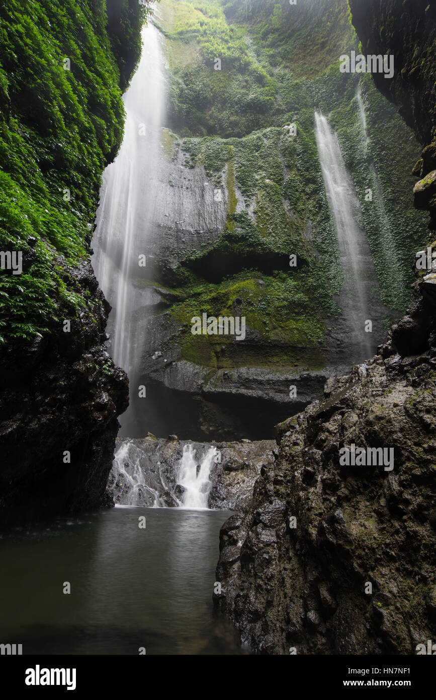 Madakaripura Wasserfall in Indonesien Stockfoto