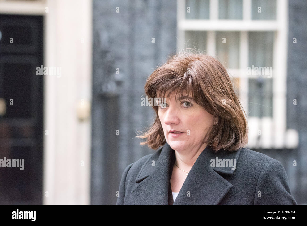 London, UK. 9. Februar 2017. Demonstranten hand eine Petition gegen die Schließung des Glenfields Childrens Herz Gerät 10 Downing-Street. mit MP Nicky Morgan Credit: Ian Davidson/Alamy Live-Nachrichten Stockfoto