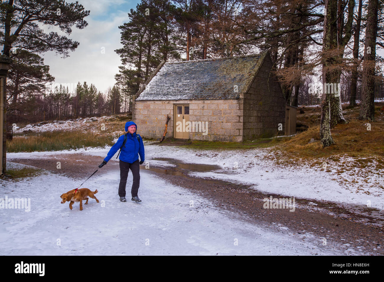 Ein Hund Walker von Gelder Shiel Berg bothy auf der Balmoral Estate in der Nähe von Ballater, Aberdeenshire, Schottland, von Wanderern für Schutz bei schlechtem Wetter. Stockfoto