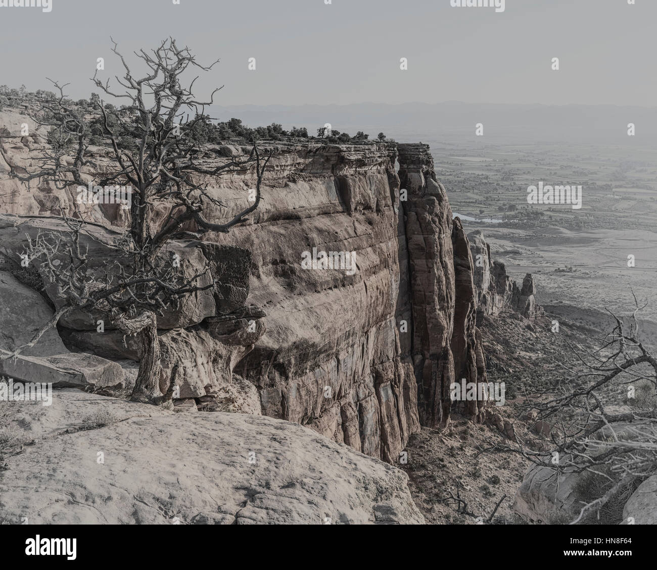Sandstein-Denkmäler & Formationen. Colorado Nationalmonument. USA Stockfoto
