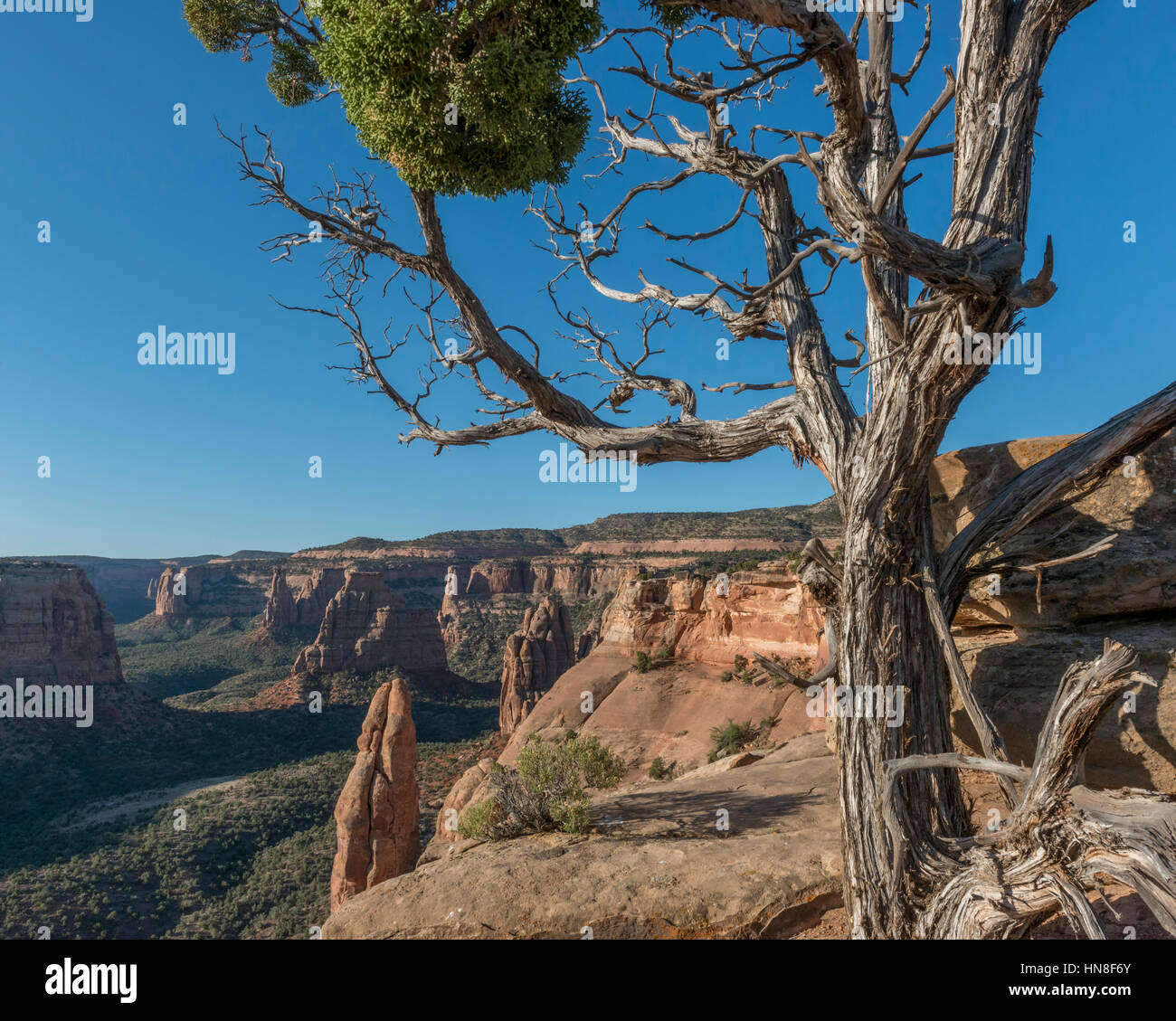 Sandstein-Denkmäler & Formationen. Colorado Nationalmonument. USA Stockfoto