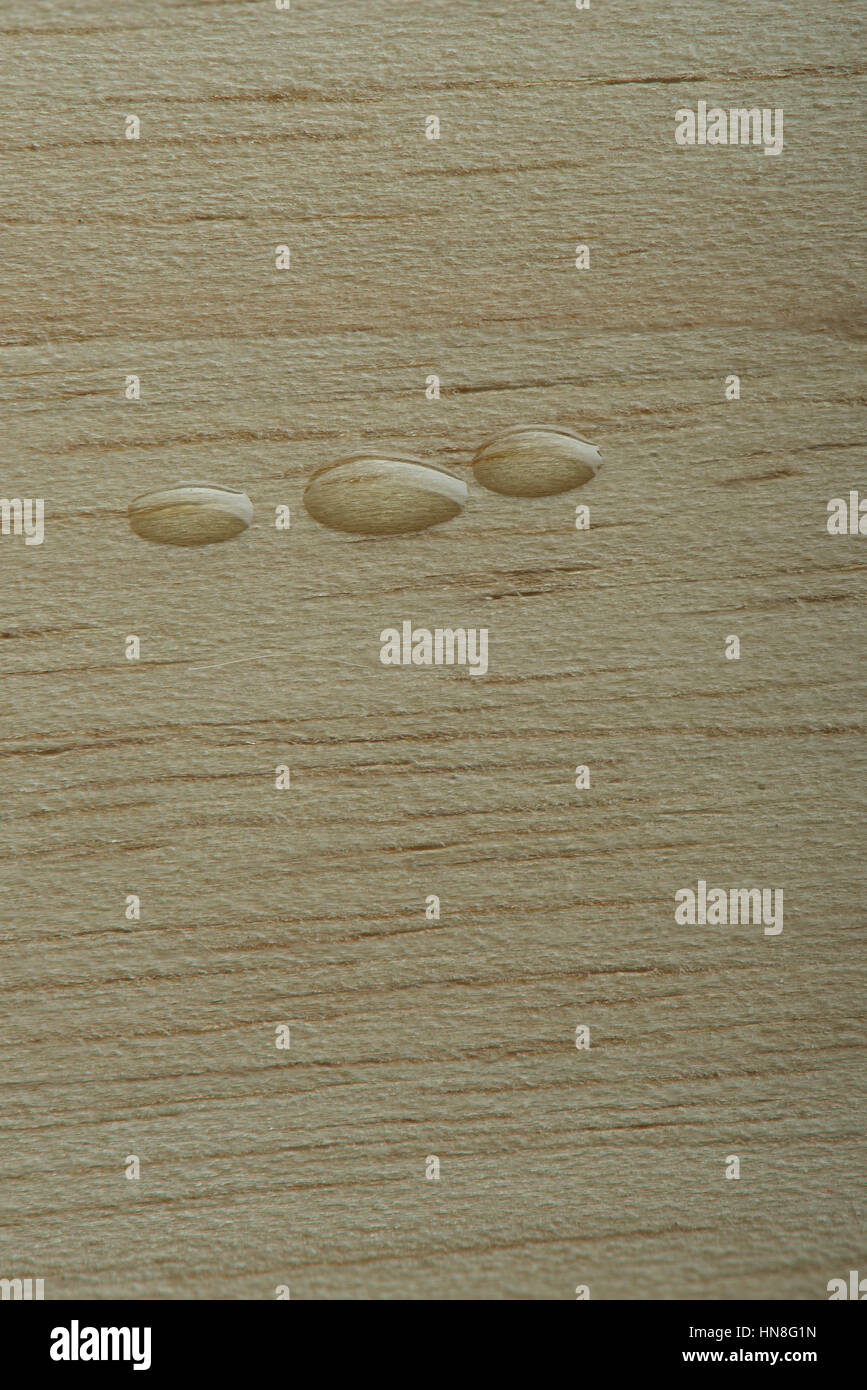 drei Tropfen auf leichte Holzstruktur hautnah Stockfoto