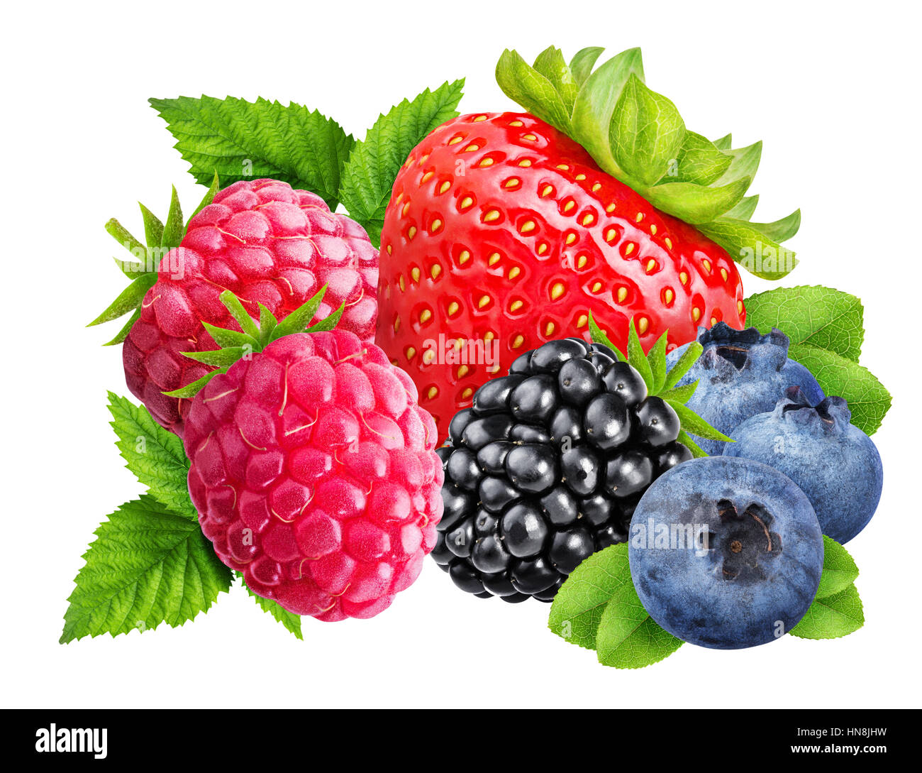 Erdbeere, Brombeere, Heidelbeere, Himbeere, isoliert mit Beschneidungspfad Stockfoto
