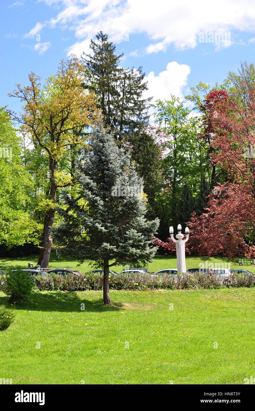 Verschiedene Schattierungen von Bäumen in einem park Stockfoto