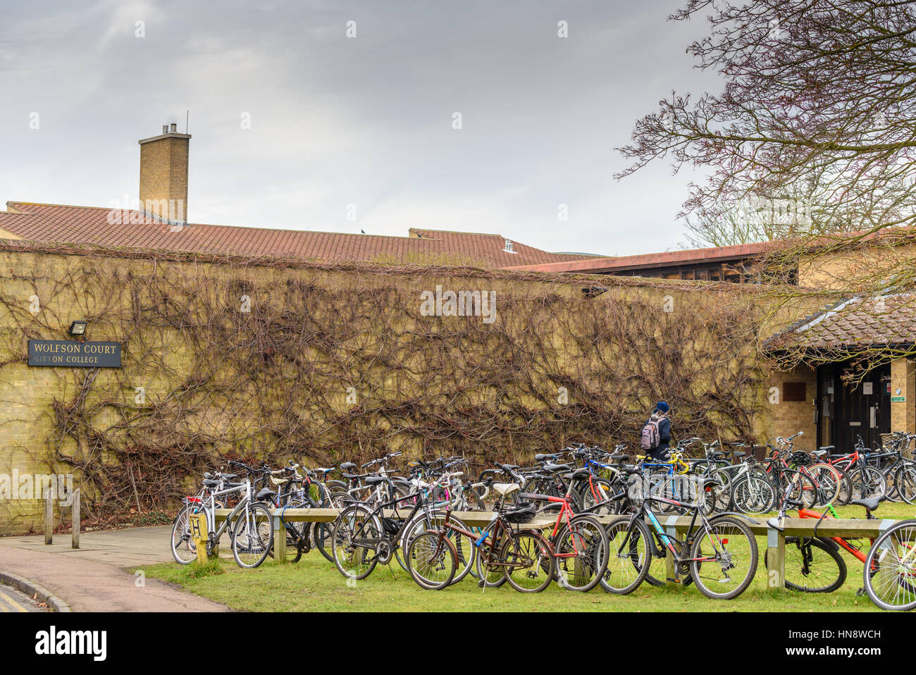 Girton College an der University of Cambridge, England. Stockfoto