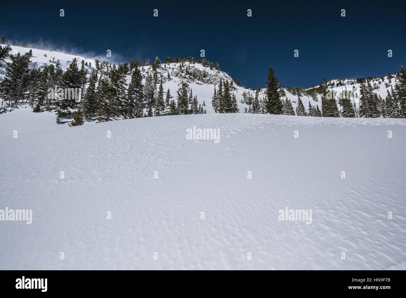 Schneefeld Stockfoto