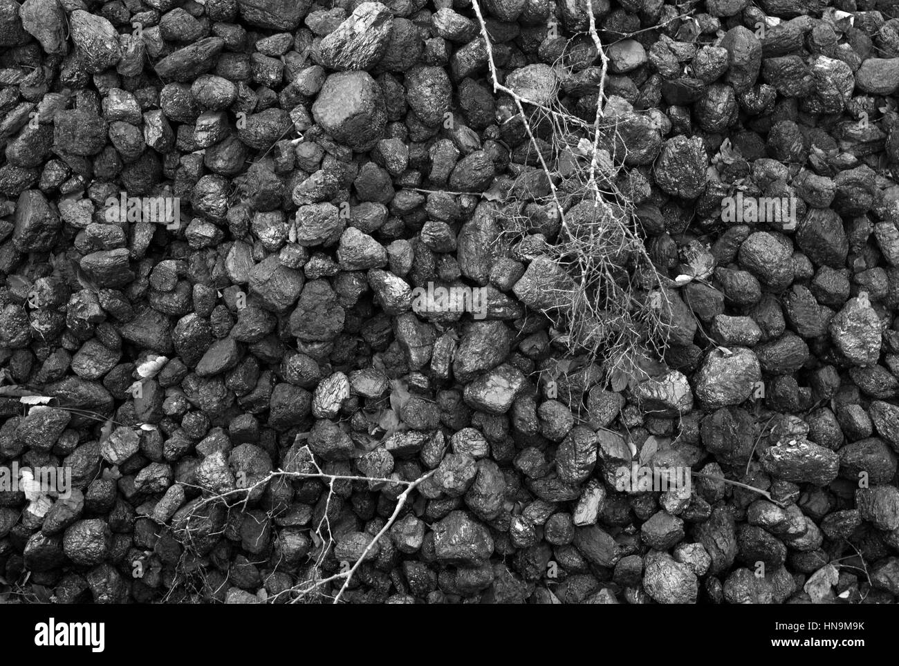 Cola-Heap bei Alston Bahnhof, South Tynedale Railway, Cumbria Stockfoto