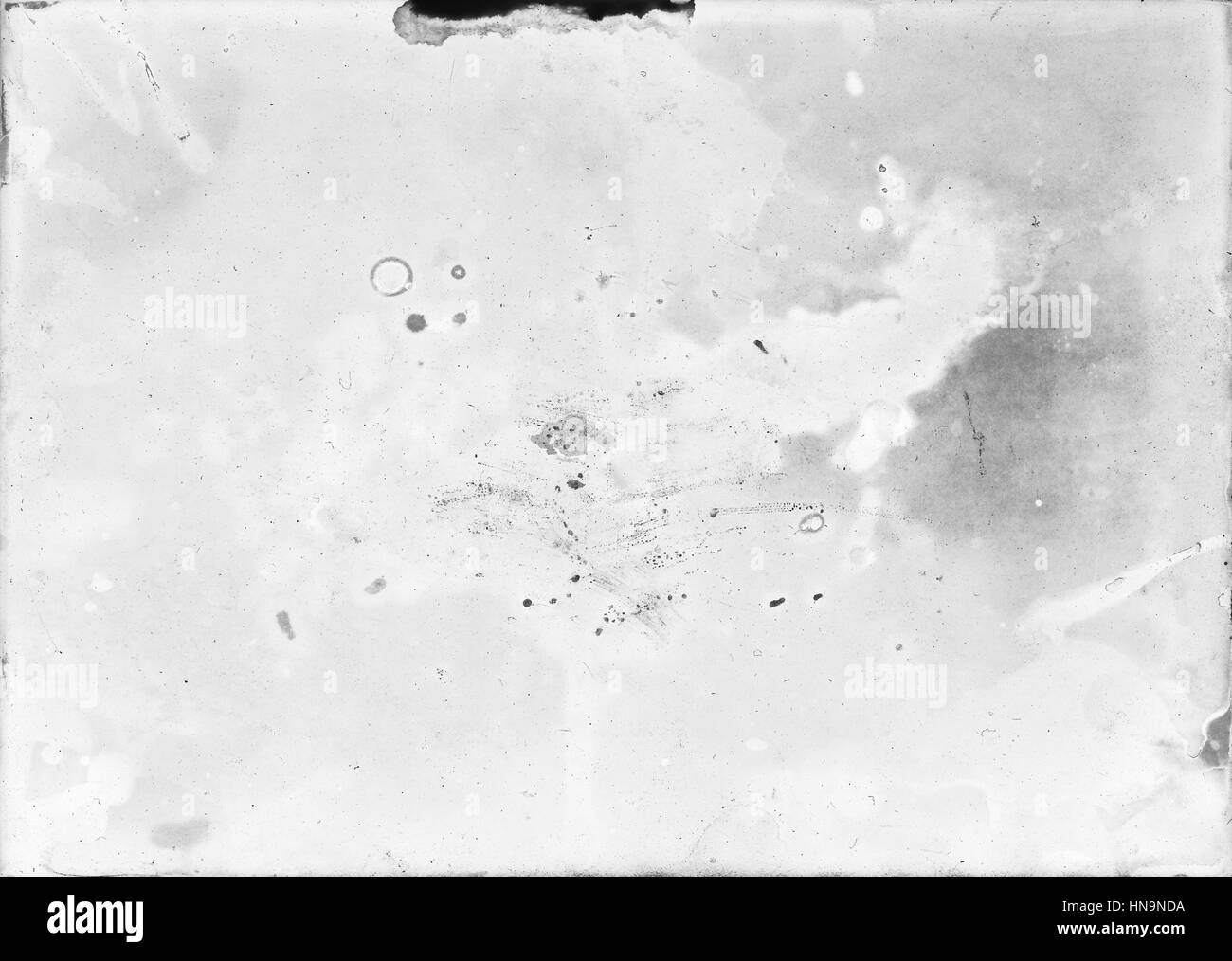 Alten und beschädigten Fotopapier entwickelt zu Unrecht nützlich wie eine Schicht für Foto-editor Stockfoto