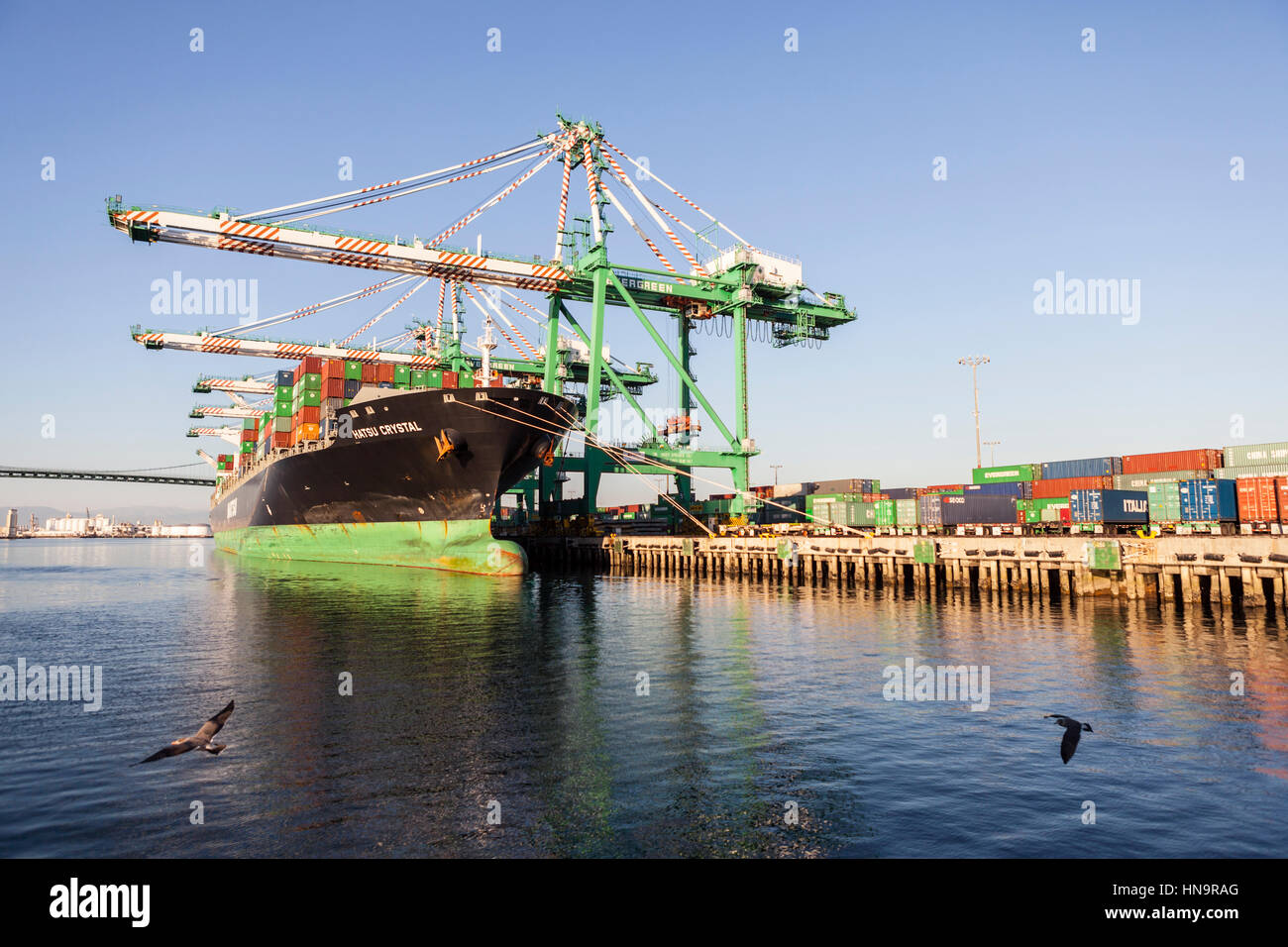 Los Angeles, Kalifornien, USA - 25. September 2010: Beschäftigt Ladung Container Dock in den überlasteten Los Angeles Harbor. Stockfoto