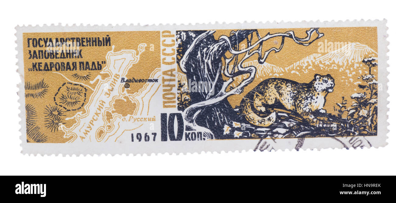 UdSSR - CIRCA 1967: Eine Briefmarke gedruckt, zeigt Karte von Cedar P Stockfoto