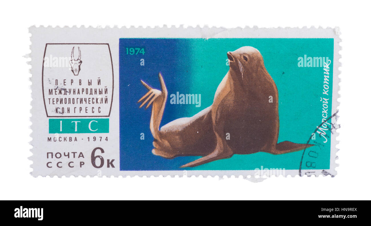 UdSSR - CIRCA 1974: Eine Briefmarke gedruckt in der, zeigt Robben, Stockfoto
