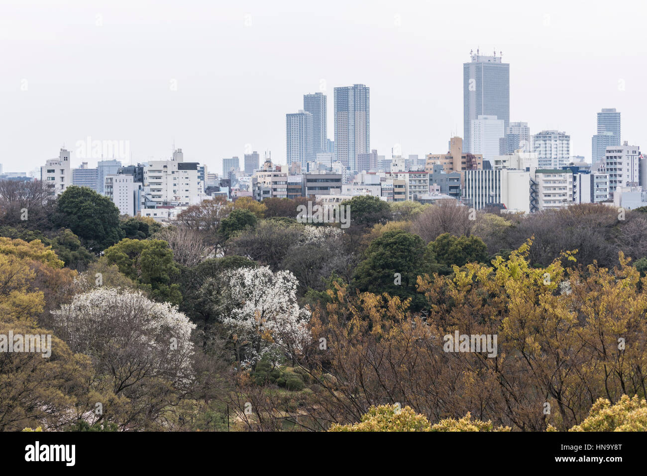 Wolkenkratzer von Ikebukuro, über Rikugien Garten, Bunkyo-Ku, Tokyo, Japan Stockfoto